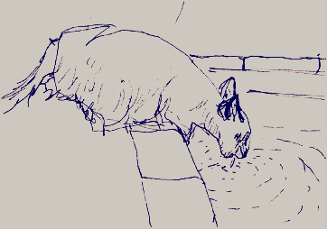 Plantes et animaux 04